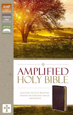 Amplified Holy Bible, Indexed (Bonded Leather)