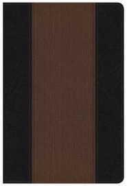 NKJV Summary Bible, Black/Brown (Imitation Leather)