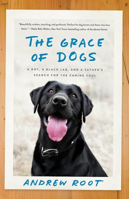 The Grace of Dogs (Paperback)