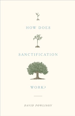 How Does Sanctification Work? (Paperback)