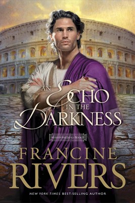 Echo in the Darkness, An (Paperback)