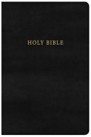 KJV Large Print Personal Size Reference Bible, Classic Black (Imitation Leather)