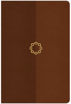 CSB Essential Teen Study Bible, Walnut Leathertouch (Imitation Leather)