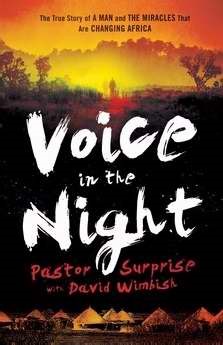 Voice In The Night (Paperback)