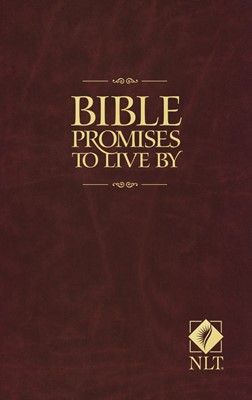 Bible Promises To Live By (Paperback)
