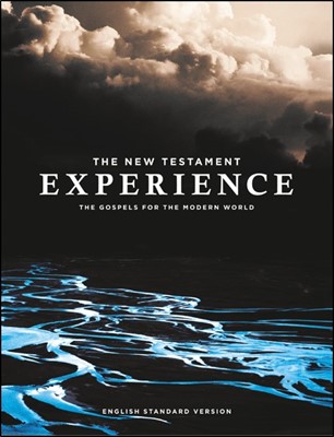 The New Testament Experience (Paperback)