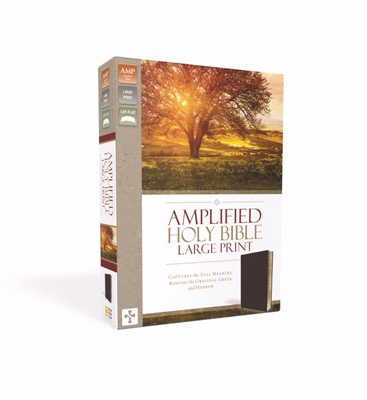 Amplified Holy Bible, Burgundy, Large Print (Bonded Leather)