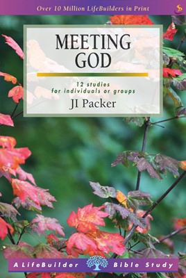 Lifebuilder: Meeting God (Paperback)