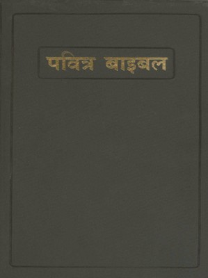 Hindi Softcover Bible (Paperback)