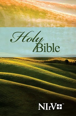 NIRV Bible For Adults (Paperback)