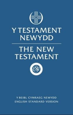 Beibl Cymraeg Newydd/English ESV New Testament (Hard Cover)