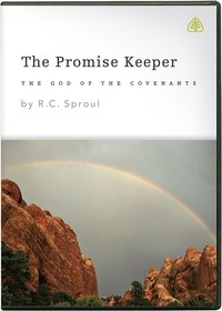 The Promise Keeper DVD (DVD)