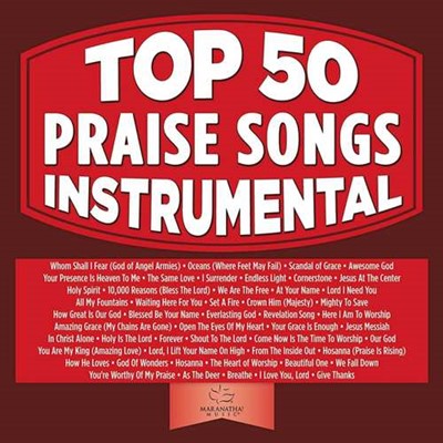 Top 50 Praise Songs Instrumental CD (CD-Audio)