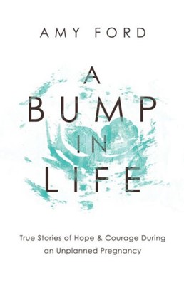 Bump In Life, A (Paperback)
