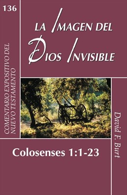 La imagen del Dios invisible (Paperback)