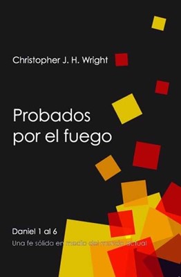 PROBADOS POR EL FUEGO (Paperback)