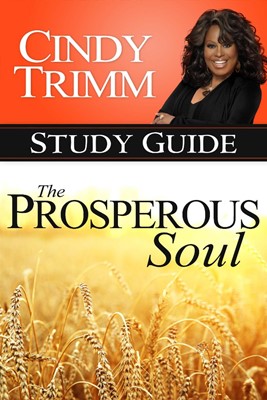 The Prosperous Soul Study Guide (Paperback)