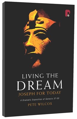 Living The Dream (Paperback)