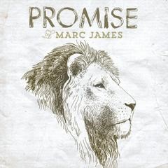 Promise CD (CD-Audio)
