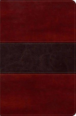 RVR 1960 Biblia del Pescador, caoba símil piel de lujo con í (Imitation Leather)
