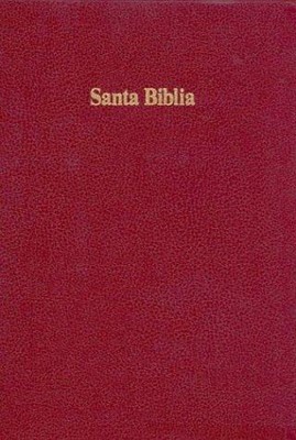 RVR 1960 Biblia Letra Grande con Referencias, borgoña imitac (Imitation Leather)