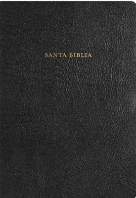 RVR 1960 Biblia de Estudio Arco Iris, negro piel fabricada c (Bonded Leather)