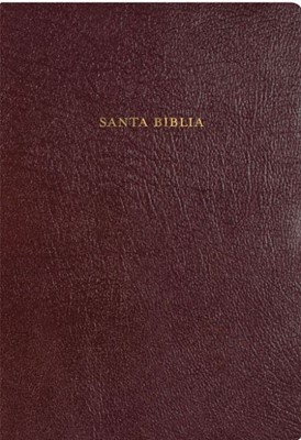 RVR 1960 Biblia de Estudio Arco Iris, borgoña piel fabricada (Bonded Leather)