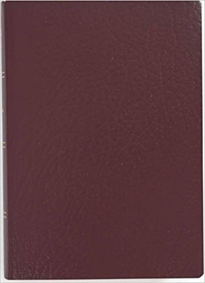 RVR 1960 Biblia para Regalos y Premios, borgoña tapa dura (Hard Cover)