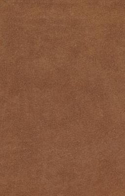 Esv Holy Bible, Value Edition (Brown) (Imitation Leather)