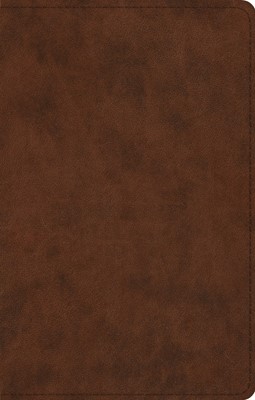 ESV UltraThin Bible TruTone, Brown (Imitation Leather)