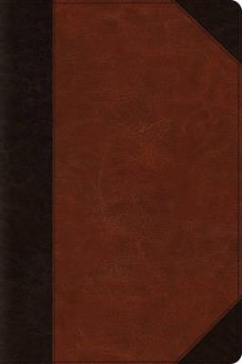 ESV Large Print Bible (TruTone, Brown/Cordovan, Portfolio De (Imitation Leather)