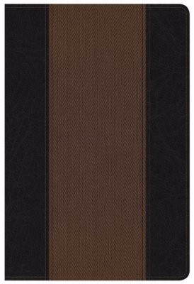 KJV Summary Bible Black/Brown (Imitation Leather)