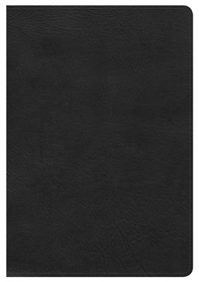 HCSB Large Print Ultrathin Reference Bible, Black (Imitation Leather)