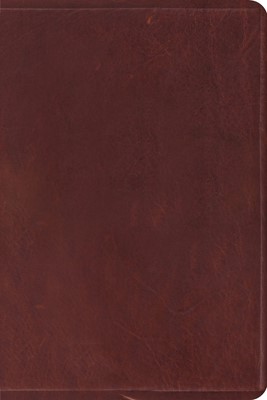 Esv Study Bible, Personal Size (Leather Binding)