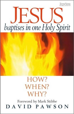 Jesus Baptises In One Holy Spirit (Paperback)
