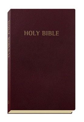 Everyday Reading Bible (Imitation Leather)