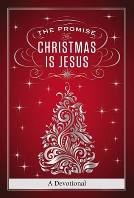 The Promise: Christmas is Jesus (Paperback)
