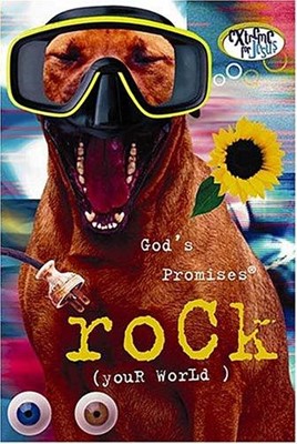 God's Promises Rock (Your World) (Paperback)