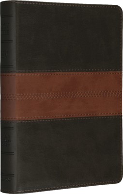 ESV Personal Size Reference Bible, TruTone Brown/Tan (Imitation Leather)