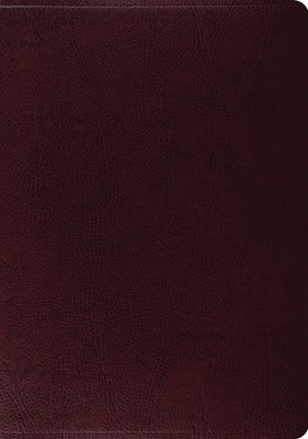 ESV Study Bible, Burgundy Bonded Leather (Bonded Leather)