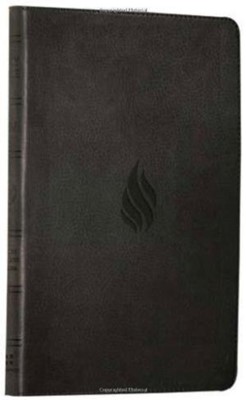 ESV Anglicized Thinline Bible, Midnight Flame Im. Leather (Imitation Leather)