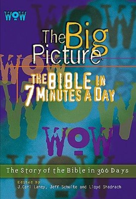WOW The Big Picture (Hard Cover)