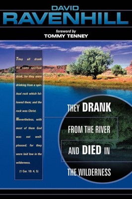 They Drank From The River And Died In The Wilderness (Paperback)