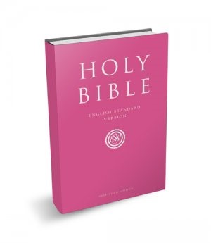 ESV Gift & Award Bible, Pink