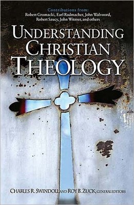 Understanding Christian Theology (Hard Cover)