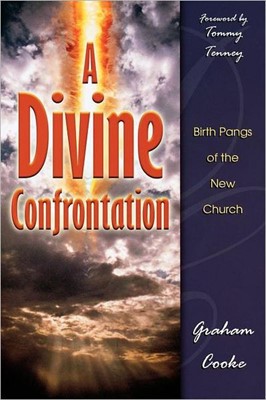 Divine Confrontation, A (Paperback)