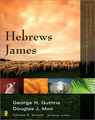 Hebrews, James (Paperback)