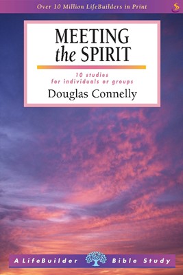 Lifebuilder: Meeting The Spirit (Paperback)