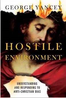 Hostile Environment (Paperback)