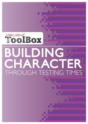 Small Group Toolbox: Building Character Through Testing Time (Paperback)